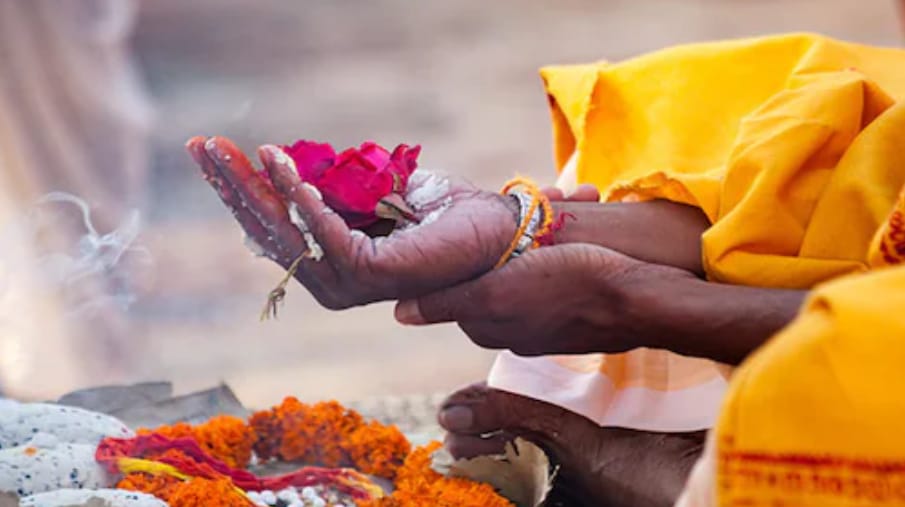 पितृपक्ष : एक पितरों के पावन दिन और श्राद्ध का विज्ञान:- आचार्य संजय तिवारी
